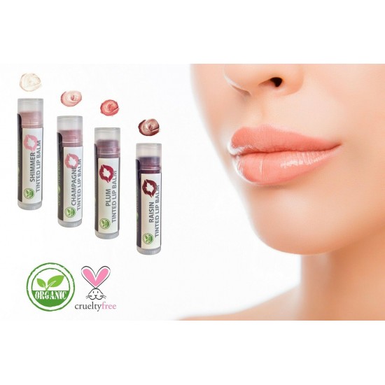 Organic Tinted Lip Balm 4 Gift Her Chapped Moisturizer Beeswax Coconut Oil New