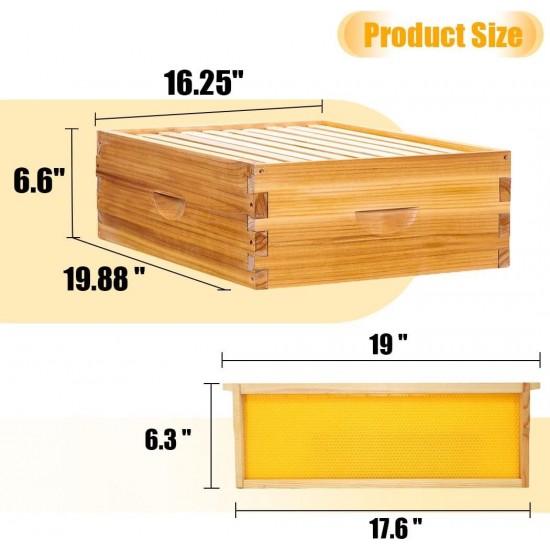 10 Frame Bee Hive, Bee Hives Boxes Starter Kit for Beekeepers Dipped in 100% Beeswax, Beehive Kit Include 2 Deep Brood Box & 1 Medium Super Bee Box with Beehive Frames and Waxed Foundation