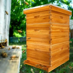 10 Frame Bee Hive, Bee Hives Boxes Starter Kit for Beekeepers Dipped in 100% Beeswax, Beehive Kit Include 2 Deep Brood Box & 1 Medium Super Bee Box with Beehive Frames and Waxed Foundation