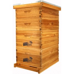 10-Frame Langstroth Beehive Dipped in 100% Beeswax, Complete Bee Hives and Supplies Starter Kit Includes 2 Deep Hive Bee Box and 2 Bee Hive Super with Beehive Frames and Foundation