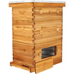 10-Frame Langstroth Beehive with Windows, Beeswaxed Coated Bee Hive for Beginners with Beehive Frames and Waxed Foundations (2 Deep Bee Boxes & 1 Medium Super Bee Box)