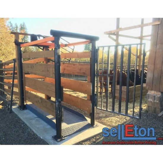 SellEton SL-929 Livestock & Cattle Alleyway Scale - Animal Weighing Equipment with Two Ramps with 5000 lbs x 1 lb