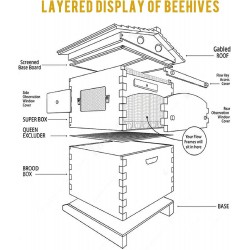 Wooden Beehive House Kit Automatic Beehives Boxes Starter Kit for Beekeepers