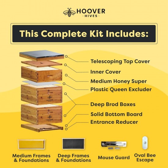 10 Frame Langstroth Beehive Dipped in 100% Beeswax Includes Wooden Frames & Waxed Foundations (2 Deep Boxes, 1 Medium Box)