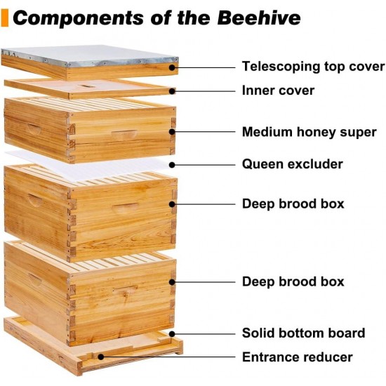 10 Frame Bee Hive, Beeswax Coated Beehive Include 2 Deep Bee Boxes and 1 Medium Bee Box with Beehive Frames and Foundation.