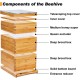 10 Frame Bee Hive, Beeswax Coated Beehive Include 2 Deep Bee Boxes and 1 Medium Bee Box with Beehive Frames and Foundation.