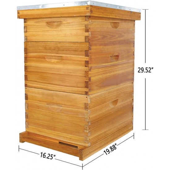 10 Frame Bee Hive, Beeswax Coated Beehive Include 2 Deep Bee Boxes and 1 Medium Bee Box with Beehive Frames and Foundation.