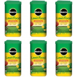 1001833 Lawn Food Water Soluble Lawn Fertilizer (6 Pack), 5 lb