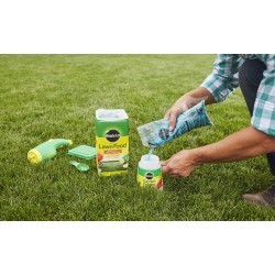 1001833 Lawn Food Water Soluble Lawn Fertilizer (6 Pack), 5 lb