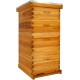 10 Frame Bee Hive Dipped in 100% Beeswax, Langstroth Complete Beehives Starter Kit Includes 2 Deep Brood Box and 2 Medium Super Box with Beehive Frames and Waxed Foundation Sheet