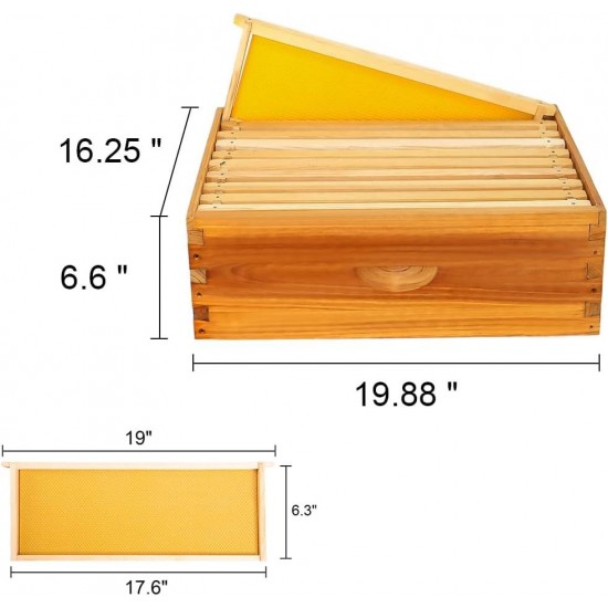 10 Frame Bee Hive Dipped in 100% Beeswax, Langstroth Complete Beehives Starter Kit Includes 2 Deep Brood Box and 2 Medium Super Box with Beehive Frames and Waxed Foundation Sheet