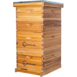 10 Frame Langstroth Bee Hive Coated with 100% Beeswax Includes Beehive Frames and Waxed Foundations (2 Deep Boxes & 2 Medium Boxes)