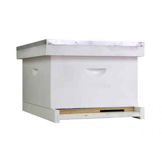 10 Frame Starter Beehive Kit - Includes 1 Painted and Assembled Deep Box with Top and Bottom