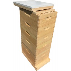 10 Frame 2 Deep 3 Medium with Wedge Style Frames Bee Hive Un-Assembled Beekeeping Langstroth Made in USA