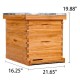 10 Frame Beehive Starter Kit, Beeswax Coated Bee Hives Includes 1 Deep Bee Boxes and 1 Bee Hive Super with Beehive Frames and Beeswax Foundation