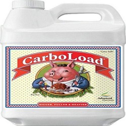 2450-16 Carboload Liquid Fertilizer, 10 Liter, Brown/A