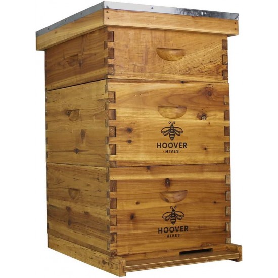 10 Frame Langstroth Beehive Dipped in 100% Beeswax Includes Wooden Frames & Waxed Foundations (2 Deep Boxes, 1 Medium Box)