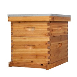 10 Frames Beehive, Complete Beehive Kit Includes 1 Deep Boxes, 1 Medium Box, Frames and Waxed Foundations, for Yard, Field, Bee Farm (2 Layer)