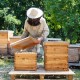 10 Frames Beehive, Complete Beehive Kit Includes 1 Deep Boxes, 1 Medium Box, Frames and Waxed Foundations, for Yard, Field, Bee Farm (2 Layer)