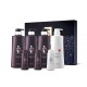 Daeng Gi Meo Ri Ki Gold Premium Set 7-in-1 Set Anti-Hair Loss US-Seller