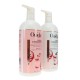 Ouidad Advanced Climate Control Defrizzing Shampoo 33.8 oz & Conditioner 33.8