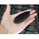 Customize Logo-Black Beech Wood boar bristle beard brush Mini Moustach Brush