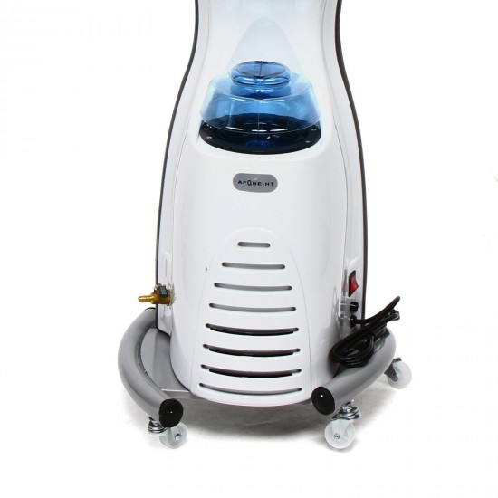 Professional Beauty Salon Equipment Hair Dryer Machine Home Hair Steamer 700w