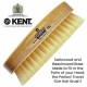 Finest Men's Military Style Hair Brush - Satin and Beechwood Travel Size MS23D