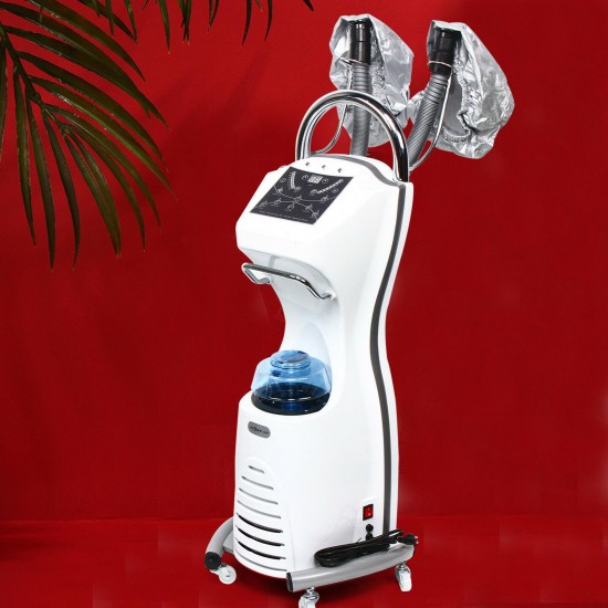 Professional Beauty Salon Equipment Hair Dryer Machine Home Hair Steamer 700w