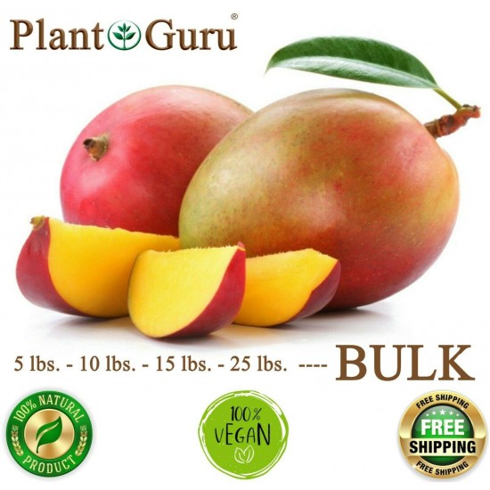 Raw Mango Butter BULK WHOLESALE 100% Pure Organic Unrefined Natural 5lb to 50lb