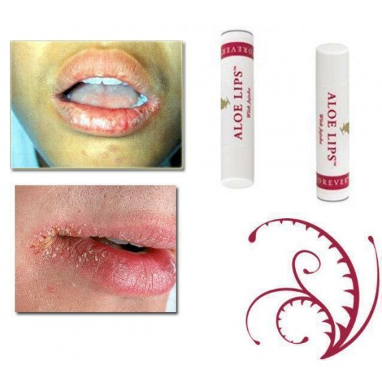 Bulk of 72 Forever Living Aloe Lips with Jojoba ($2.55 each) Free shipping!