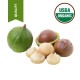 TAMANU OIL- HIGH QUALITY FORAHA 100% PURE ORGANIC VIRGIN UNREFINED