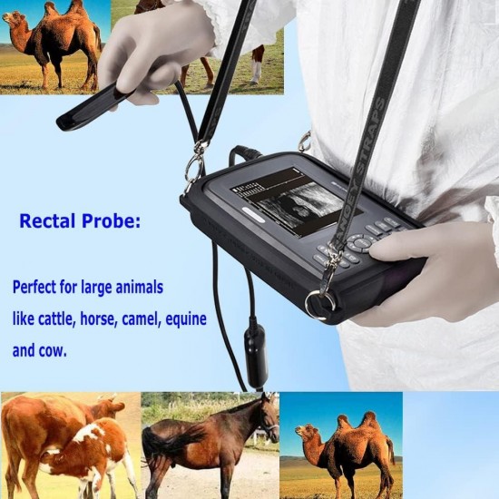 5.5 INCH Portable Handheld Veterinary Scanner Machine with Rectal Probe Animals Pregnancy for Cattle, Horse, Camel, Equine, Cow