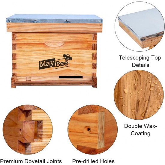 Beehive Starter Kit 10 Frame Beehive Kit Wax Coated Bee Boxes and Frames Starter Kit, Bee Hives Boxes Starter Kit Including Beekeepig Tools with 2 Pcs Beekeeping Hat