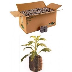 1000 Count (Full Case) - Jiffy 7 Peat Pellets - Seed Starter Soil Plugs - 36 mm - Start Seedlings Indoors - Easy To Transplant