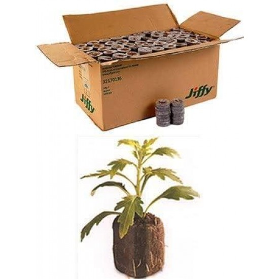 1000 Count (Full Case) - Jiffy 7 Peat Pellets - Seed Starter Soil Plugs - 36 mm - Start Seedlings Indoors - Easy To Transplant