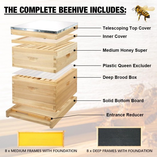 8 Frame Bee Hive, Compelte Bee Hive Starter Kit Includes 1 Deep Brood Honey Bee Hives Box, 1 Medium Super Bee Box with Beehive Frames and Foundation Sheets