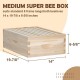 8 Frame Bee Hive, Compelte Bee Hive Starter Kit Includes 1 Deep Brood Honey Bee Hives Box, 1 Medium Super Bee Box with Beehive Frames and Foundation Sheets