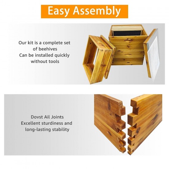 10-Frame Langstroth Beehive Dipped in 100% Beeswax Waxed Beehives for Beginners with Bee Hive Frame and Waxed Foundation(3-Layer)