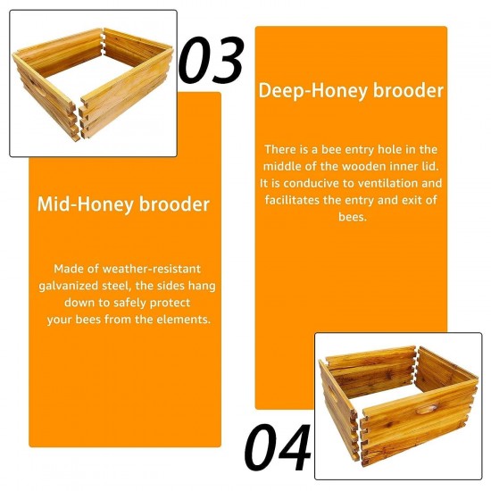 10-Frame Langstroth Beehive Dipped in 100% Beeswax Waxed Beehives for Beginners with Bee Hive Frame and Waxed Foundation(3-Layer)