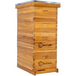 8 Frame Langstroth Bee Hive Coated with 100% Beeswax Includes Beehive Frames and Waxed Foundations (2 Deep Boxes & 2 Medium Boxes)