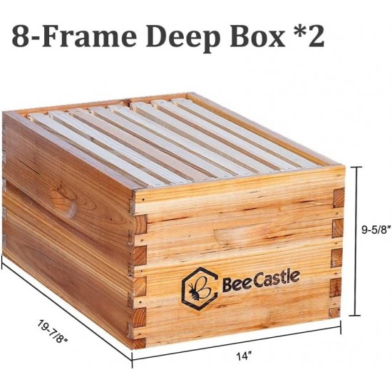 8 Frame Langstroth Bee Hive Coated with 100% Beeswax Includes Beehive Frames and Waxed Foundations (2 Deep Boxes & 2 Medium Boxes)