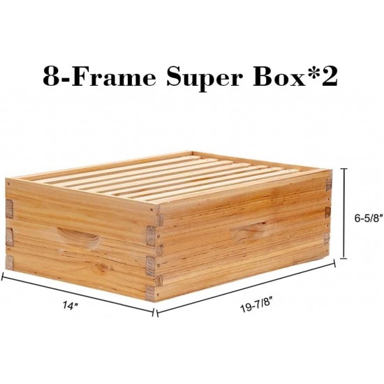 8 Frame Langstroth Bee Hive Coated with 100% Beeswax Includes Beehive Frames and Waxed Foundations (2 Deep Boxes & 2 Medium Boxes)