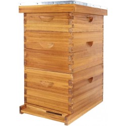 8 Frame Bee Hive Kit Dipped in 100% Beeswax. Complete Beehive Starter Kit Include 2 Deep Hive Boxes and 1 Medium Super Bee Box with Beehive Frames and Foundation Sheets.(3 Layers)