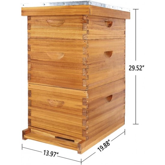 8 Frame Bee Hive Kit Dipped in 100% Beeswax. Complete Beehive Starter Kit Include 2 Deep Hive Boxes and 1 Medium Super Bee Box with Beehive Frames and Foundation Sheets.(3 Layers)