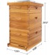 8 Frame Bee Hive Kit Dipped in 100% Beeswax. Complete Beehive Starter Kit Include 2 Deep Hive Boxes and 1 Medium Super Bee Box with Beehive Frames and Foundation Sheets.(3 Layers)