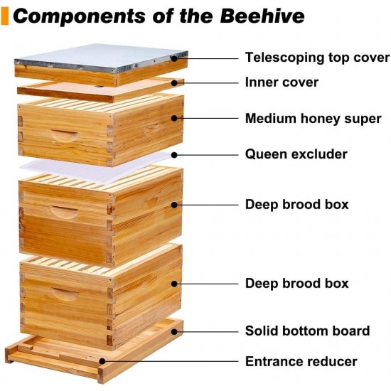 8 Frame Bee Hive Kit Dipped in 100% Beeswax. Complete Beehive Starter Kit Include 2 Deep Hive Boxes and 1 Medium Super Bee Box with Beehive Frames and Foundation Sheets.(3 Layers)