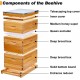 8 Frame Bee Hive Kit Dipped in 100% Beeswax. Complete Beehive Starter Kit Include 2 Deep Hive Boxes and 1 Medium Super Bee Box with Beehive Frames and Foundation Sheets.(3 Layers)