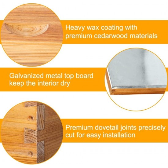 8 Frame Bee Hive Kit Dipped in 100% Beeswax. Complete Beehive Starter Kit Include 2 Deep Hive Boxes and 1 Medium Super Bee Box with Beehive Frames and Foundation Sheets.(3 Layers)