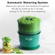 Fresh Life Sprouter FL-3000 Automatic Seed Sprouter For Sprouting Seeds, Green